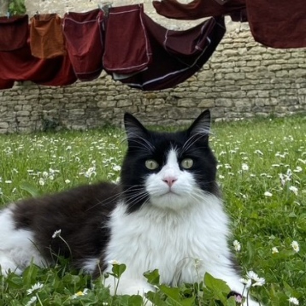 Photo de Alphonse