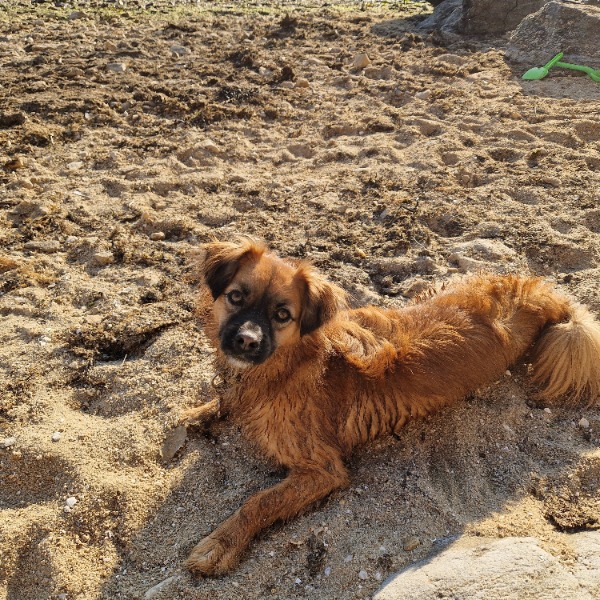 Photo de Yuki