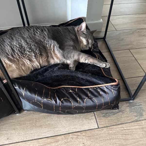 Photo de Zouzou