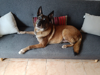 Photo de Darwin