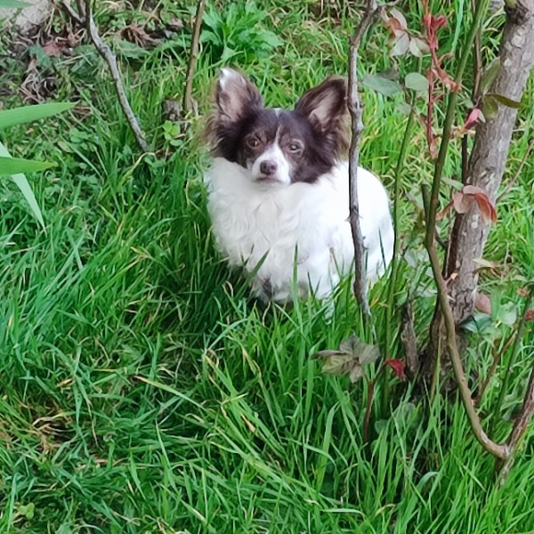 Photo de Athena