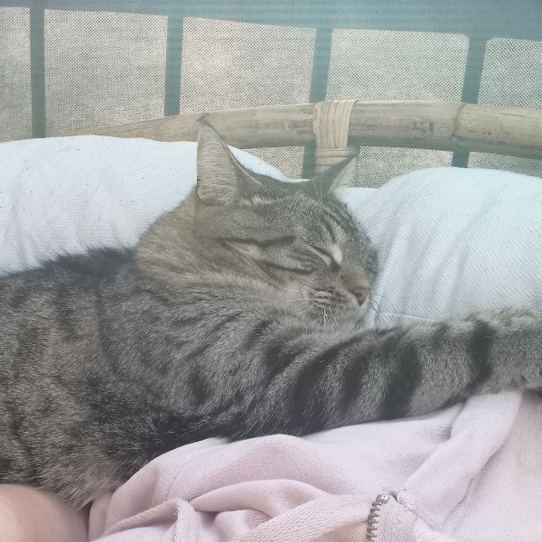 Photo de Kit