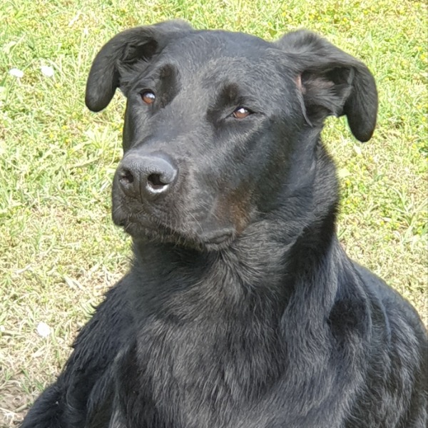 Photo de Sangha