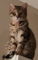 Photo de Poupie