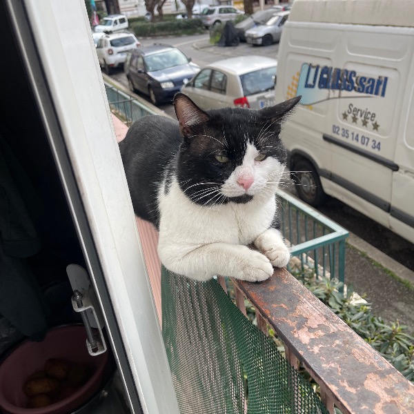 Photo de Poushy
