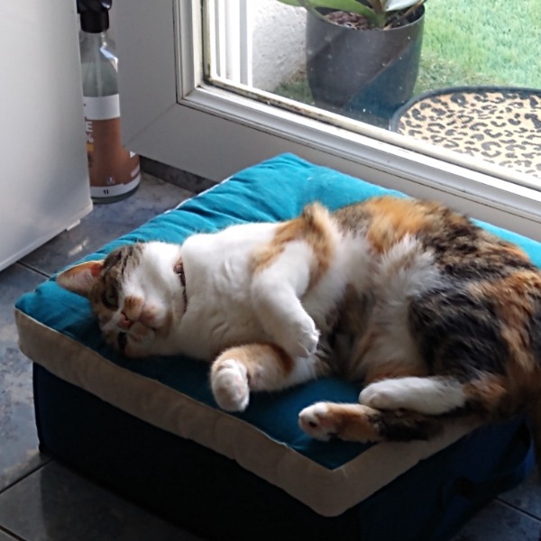Photo de Sally
