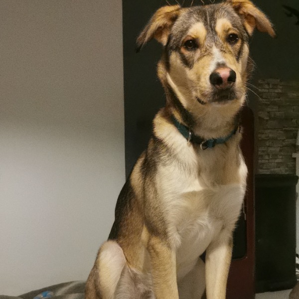 Photo de Vador