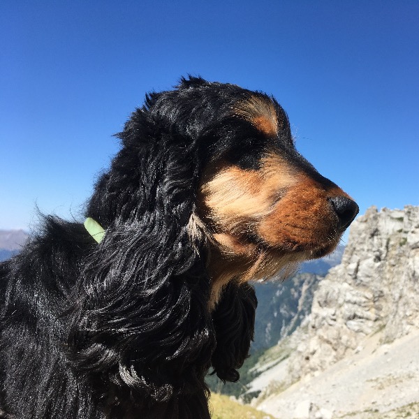 Bella