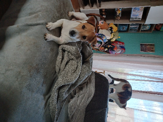 Photo de RENJI