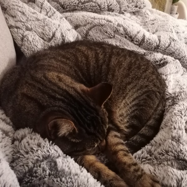 Photo de Kira