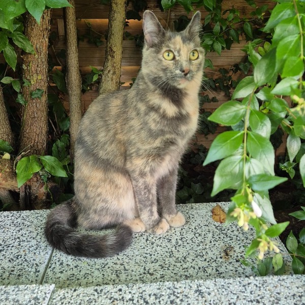 Photo de LOUNA