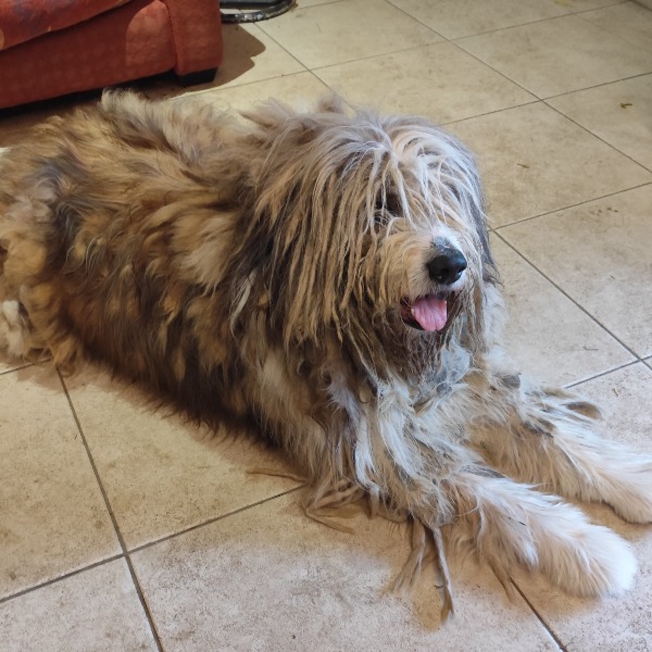 Photo de Nowaczyk "Albert"