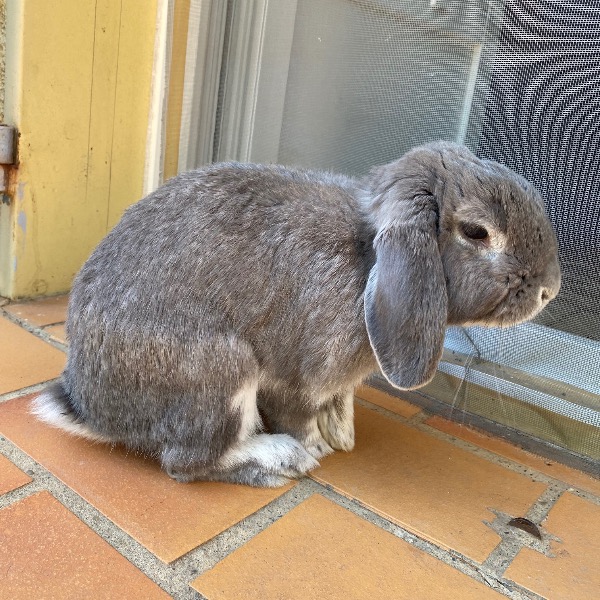 Benjy