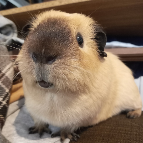 Charlie