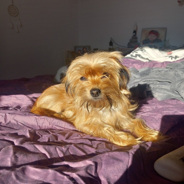 Teïa