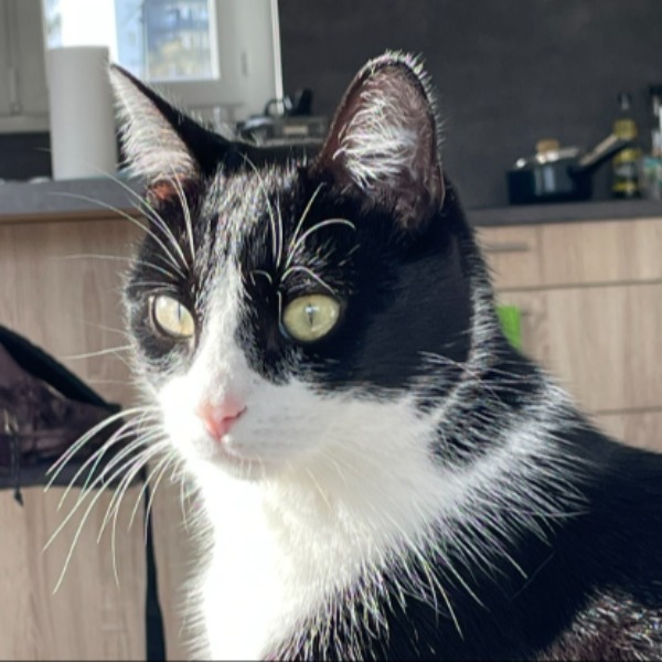 Filou
