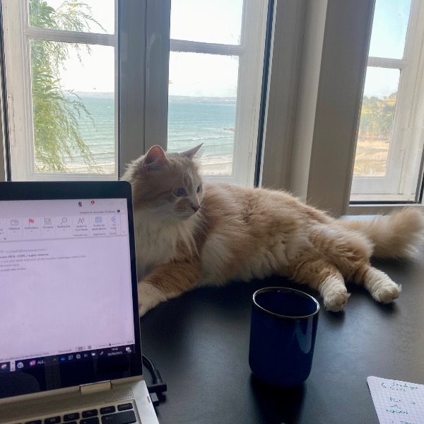 Photo de Caramel