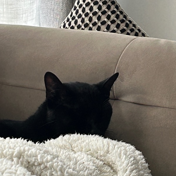 Photo de Titi