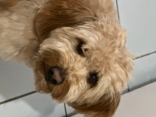 Photo de Sunny
