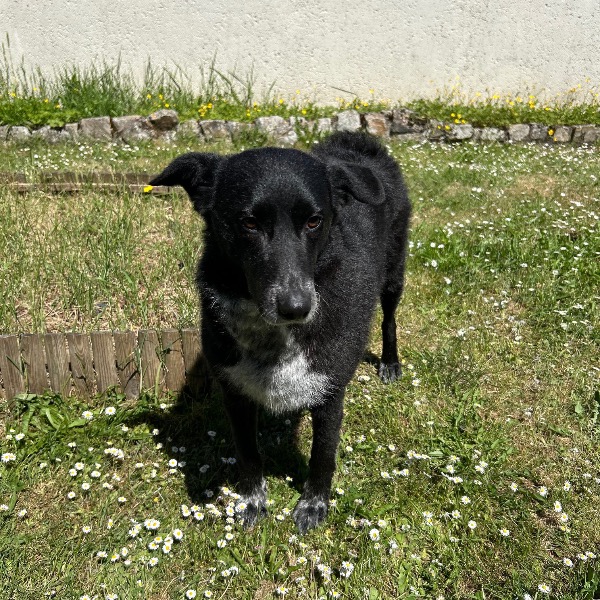 Photo de Grâce
