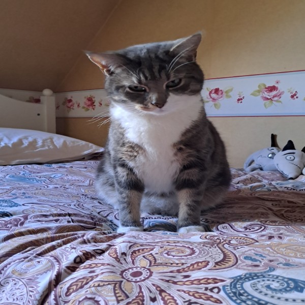 Photo de Paco