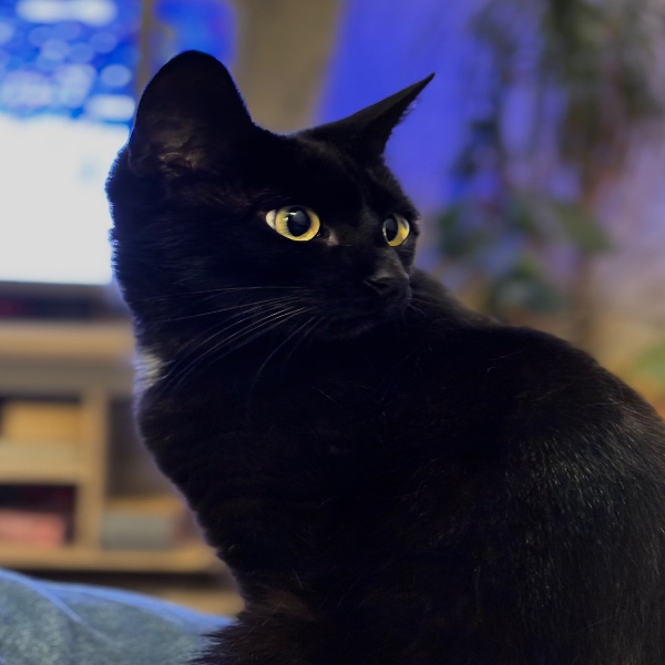 Sally