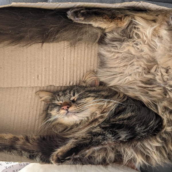 Photo de Écho