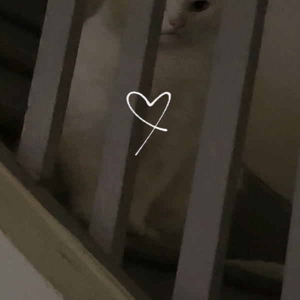 Mimine