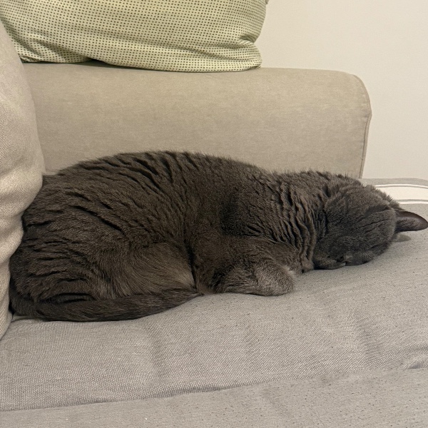 Photo de Bruce