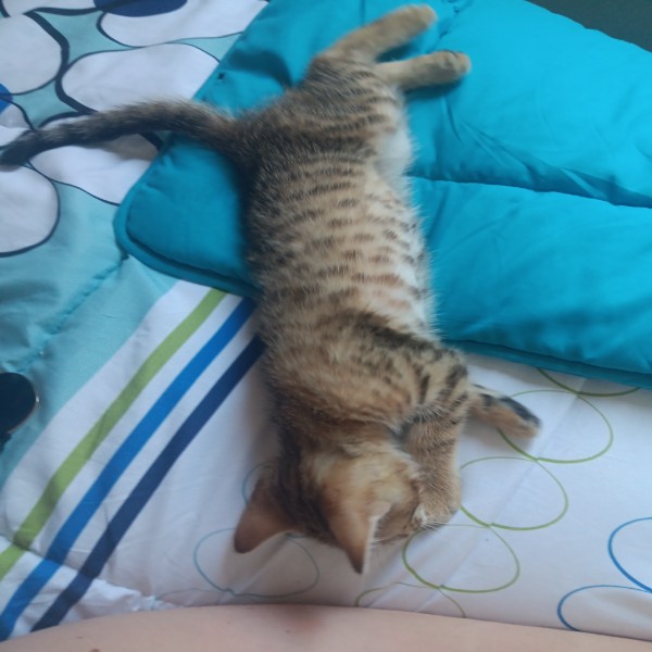 Photo de Aïko