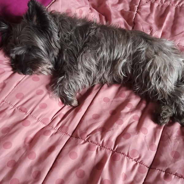 Photo de ROXANE