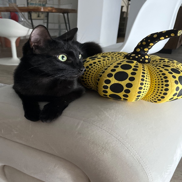 Photo de Jiji