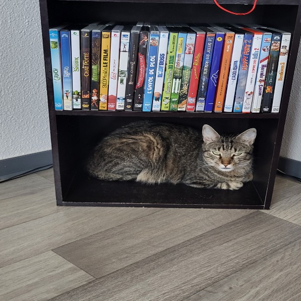 Photo de Tixxy