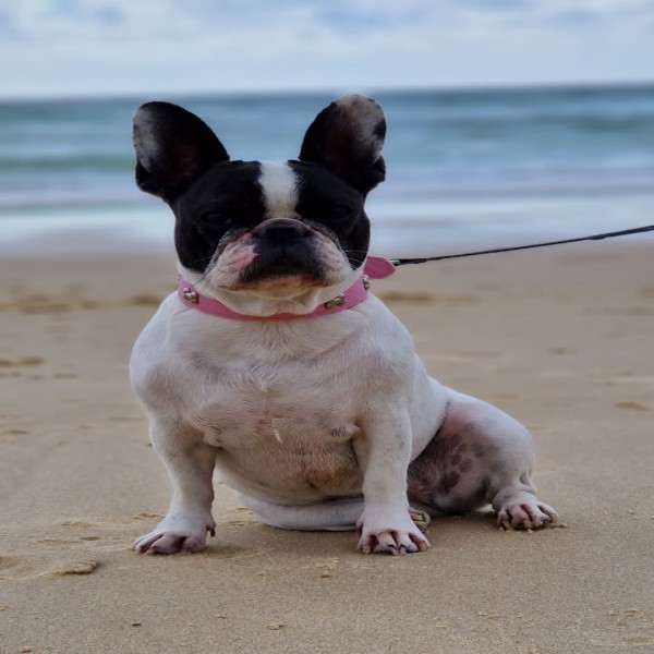 Photo de Roxy