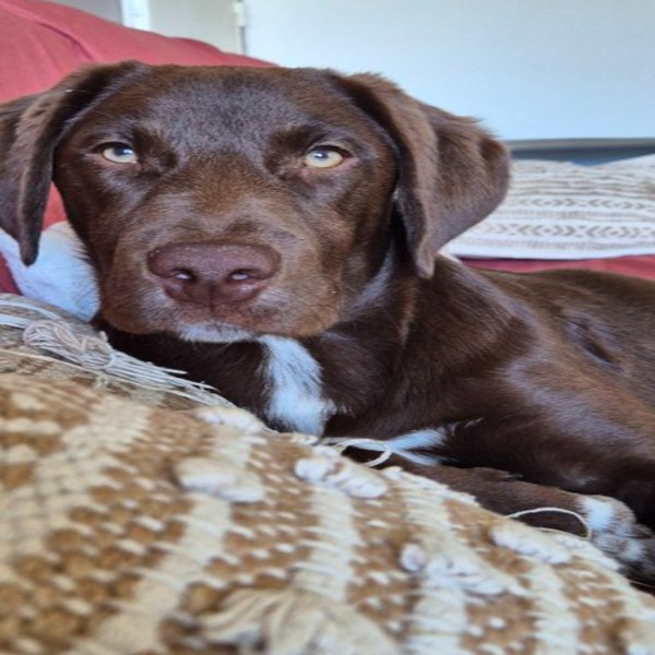 Photo de Bounty