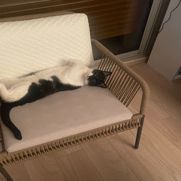 Photo de Django