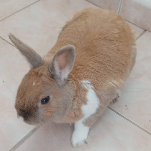 Photo de Nanny