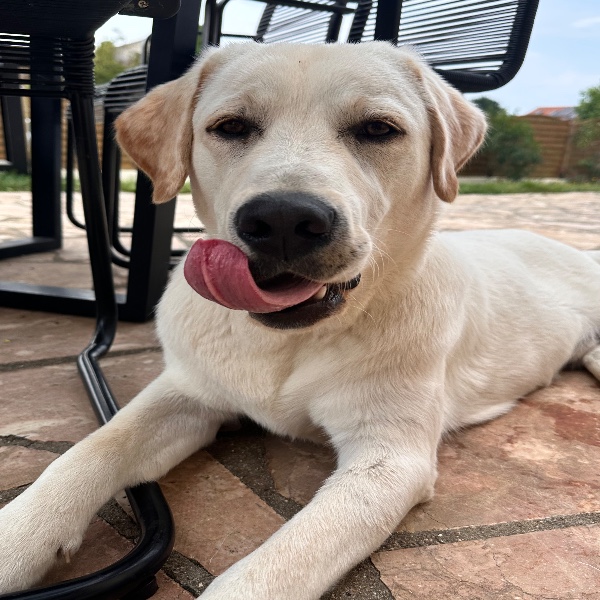 Marley