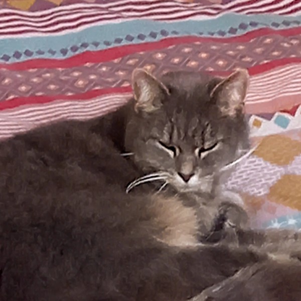 Mia