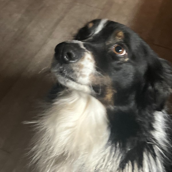 Photo de Prada