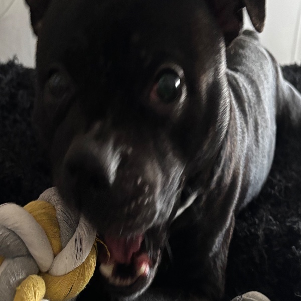 Tyson