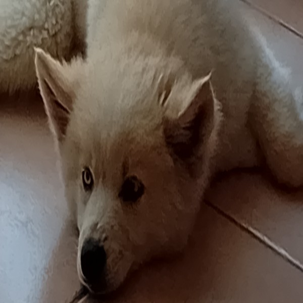 Photo de Azur