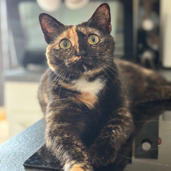Molly