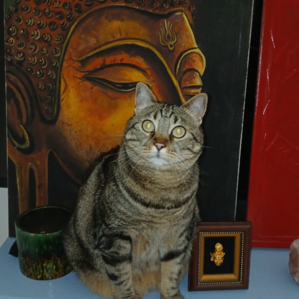 Photo de Ganesh