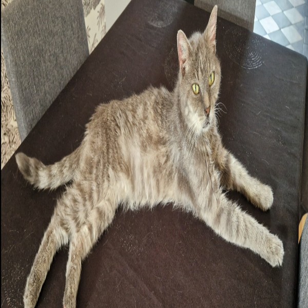 GASPARD