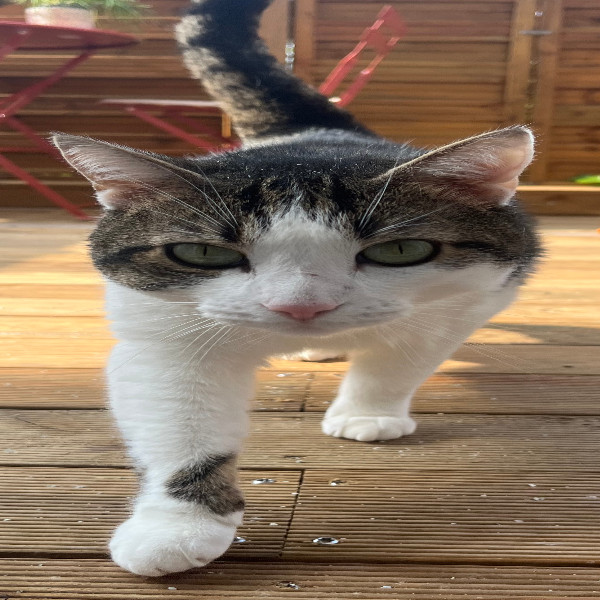 Photo de Naboo