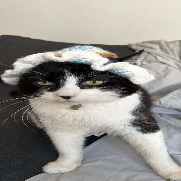 Photo de César