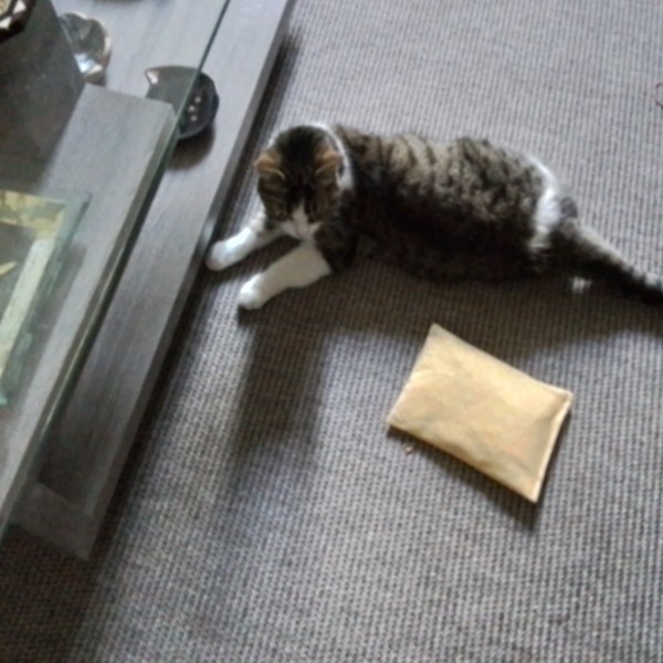 Minette