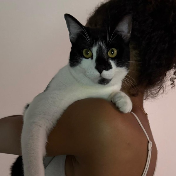 Photo de Miu Miu