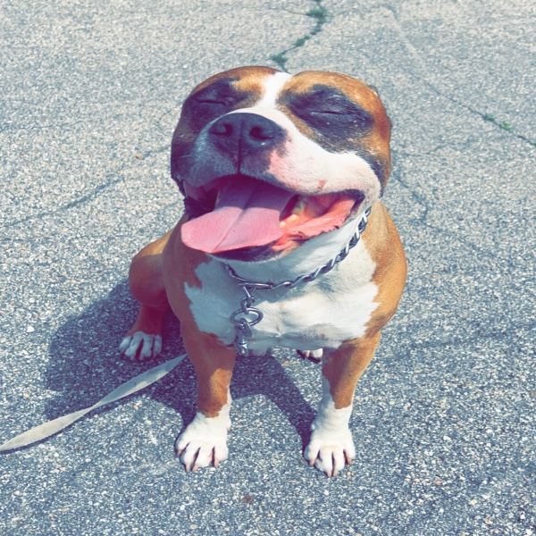 Narco